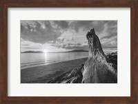 Samish Bay Sunset I BW with border Fine Art Print