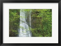 Double Falls II color Fine Art Print