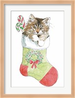 Christmas Kitties IV Fine Art Print