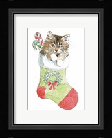 Christmas Kitties IV Framed Print