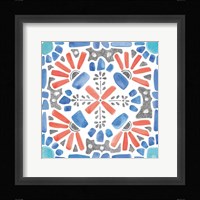 Coastal Sea Life IX Framed Print