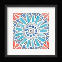 Coastal Sea Life VII Framed Print