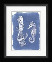Coastal Sea Life V Framed Print
