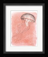 Coastal Sea Life IV Fine Art Print