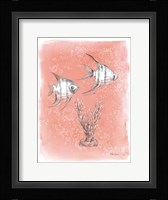 Coastal Sea Life III Framed Print