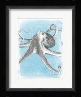 Coastal Sea Life II Framed Print
