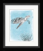 Coastal Sea Life I Framed Print