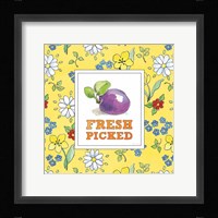 Fresh From the Garden VI Framed Print