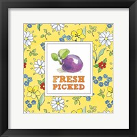 Fresh From the Garden VI Framed Print
