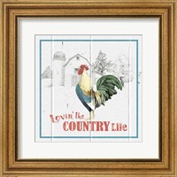 Farm To Table VI Fine Art Print