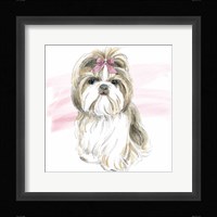 Glamour Pups VIII Framed Print