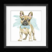 Glamour Pups XI Framed Print
