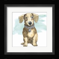 Glamour Pups IX Framed Print