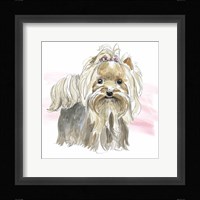 Glamour Pups XII Framed Print
