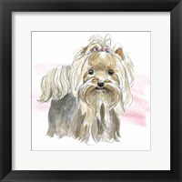 Glamour Pups XII Framed Print