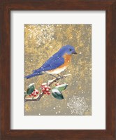 Winter Birds Bluebird Color Fine Art Print