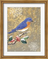 Winter Birds Bluebird Color Fine Art Print