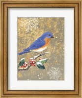 Winter Birds Bluebird Color Fine Art Print