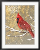 Winter Birds Cardinal Color Fine Art Print