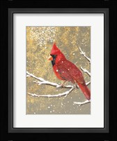 Winter Birds Cardinal Color Fine Art Print