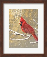Winter Birds Cardinal Color Fine Art Print