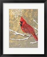 Winter Birds Cardinal Color Framed Print
