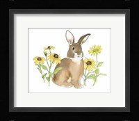 Wildflower Bunnies III Framed Print