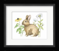 Wildflower Bunnies II Framed Print