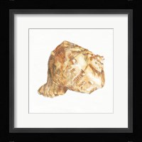 Golden Treasures III on White Framed Print