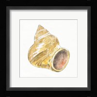 Golden Treasures II on White Framed Print