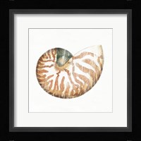 Golden Treasures IV on White Framed Print
