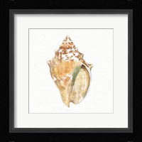 Golden Treasures V on White Framed Print