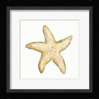 Golden Treasures VI on White Framed Print