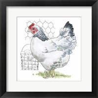 Fun at the Coop IV Framed Print