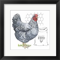 Fun at the Coop III Framed Print