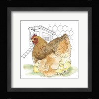 Fun at the Coop II Framed Print