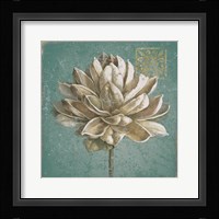 Seed Pod I no Words Turquoise Framed Print