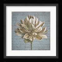 Seed Pod I no Stamp Framed Print