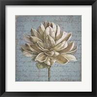 Seed Pod I no Stamp Framed Print