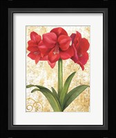Winter Birds Amaryllis II Gold and White Fine Art Print