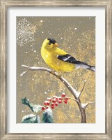 Winter Birds Goldfinch Color Fine Art Print