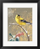 Winter Birds Goldfinch Color Framed Print