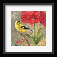 Winter Birds Goldfinch Collage Framed Print