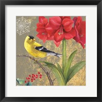 Winter Birds Goldfinch Collage Framed Print