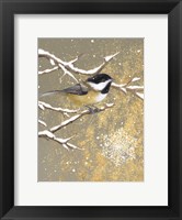 Winter Birds Chickadee Color Fine Art Print