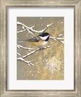 Winter Birds Chickadee Color Fine Art Print