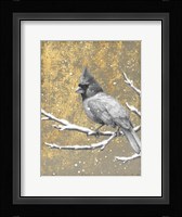 Winter Birds Cardinal Neutral Framed Print