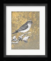 Winter Birds Bluebird Neutral Framed Print