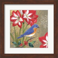 Winter Birds Bluebird Fine Art Print