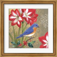 Winter Birds Bluebird Fine Art Print